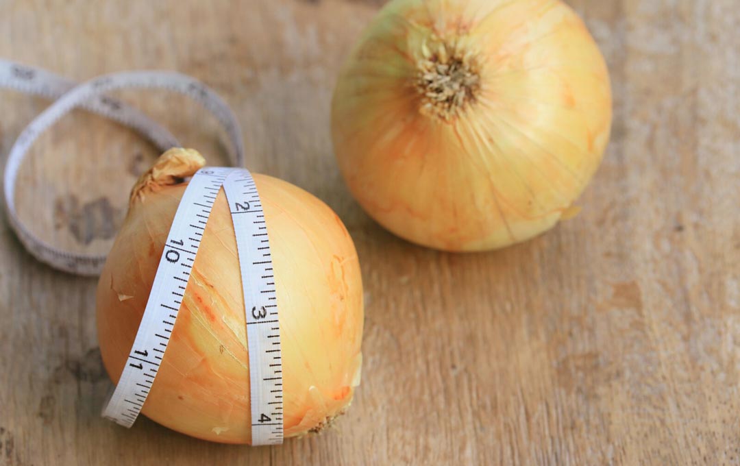 Onions and weight loss